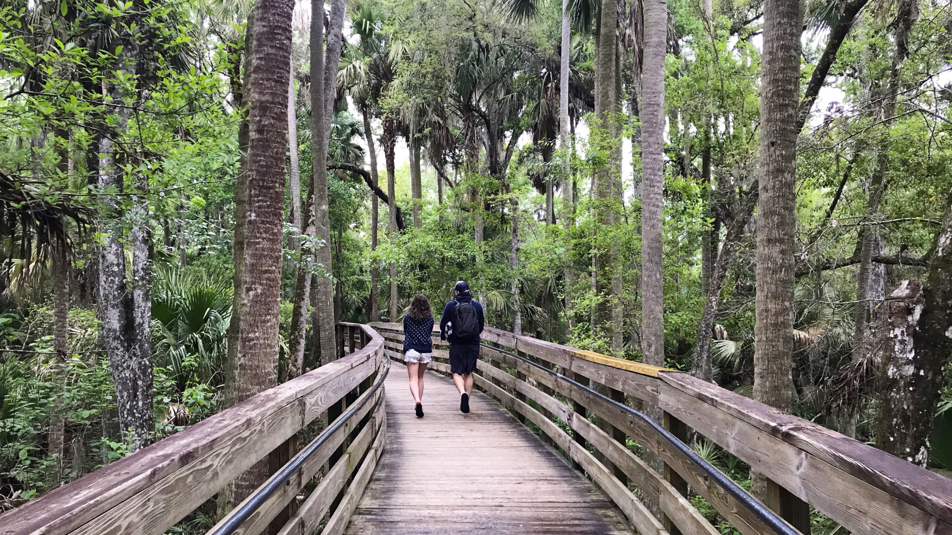Dos excursionistas en un paseo marítimo elevado a través de los manglares de Florida