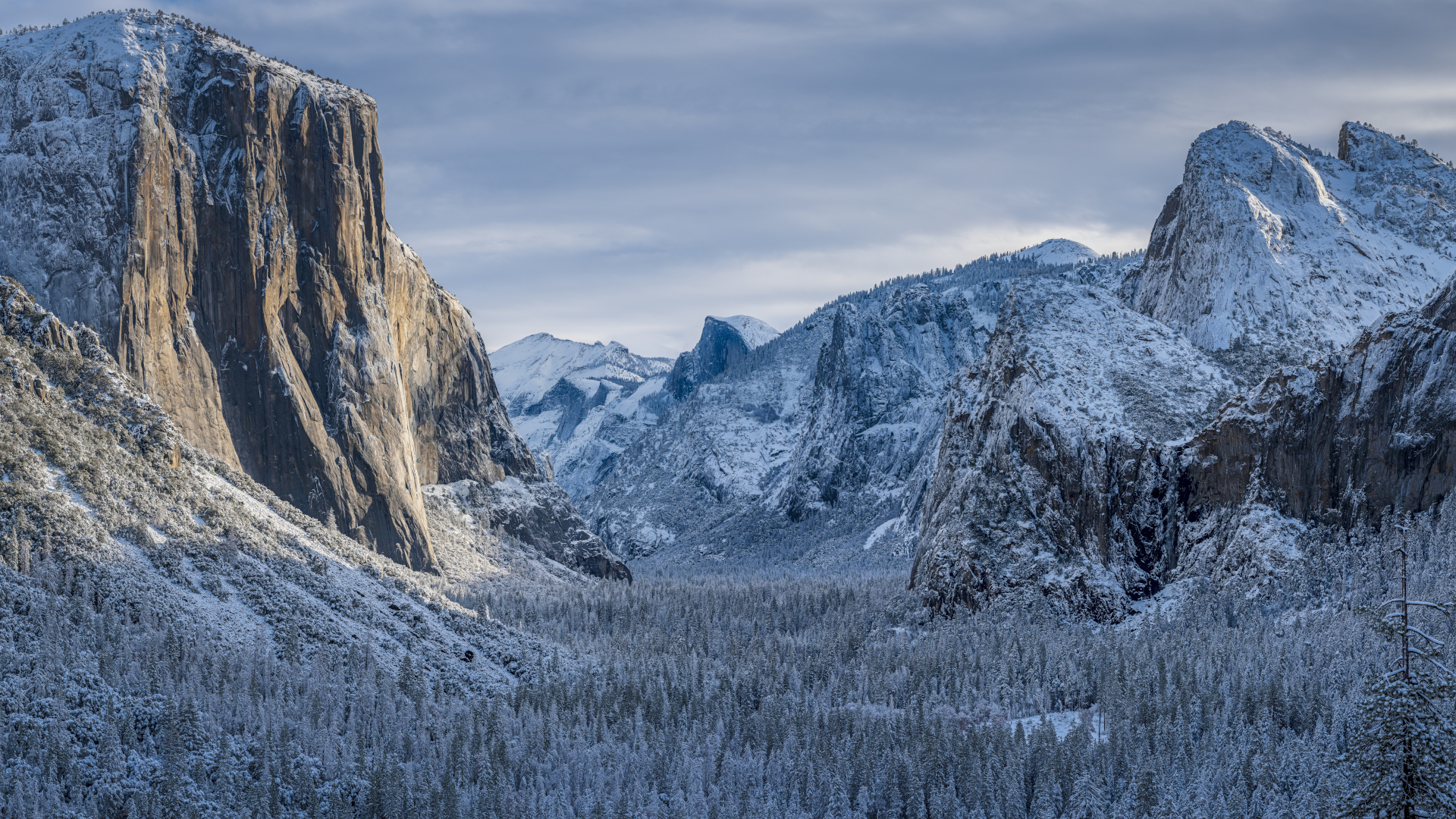 Vista del túnel en Yosemite en invierno
