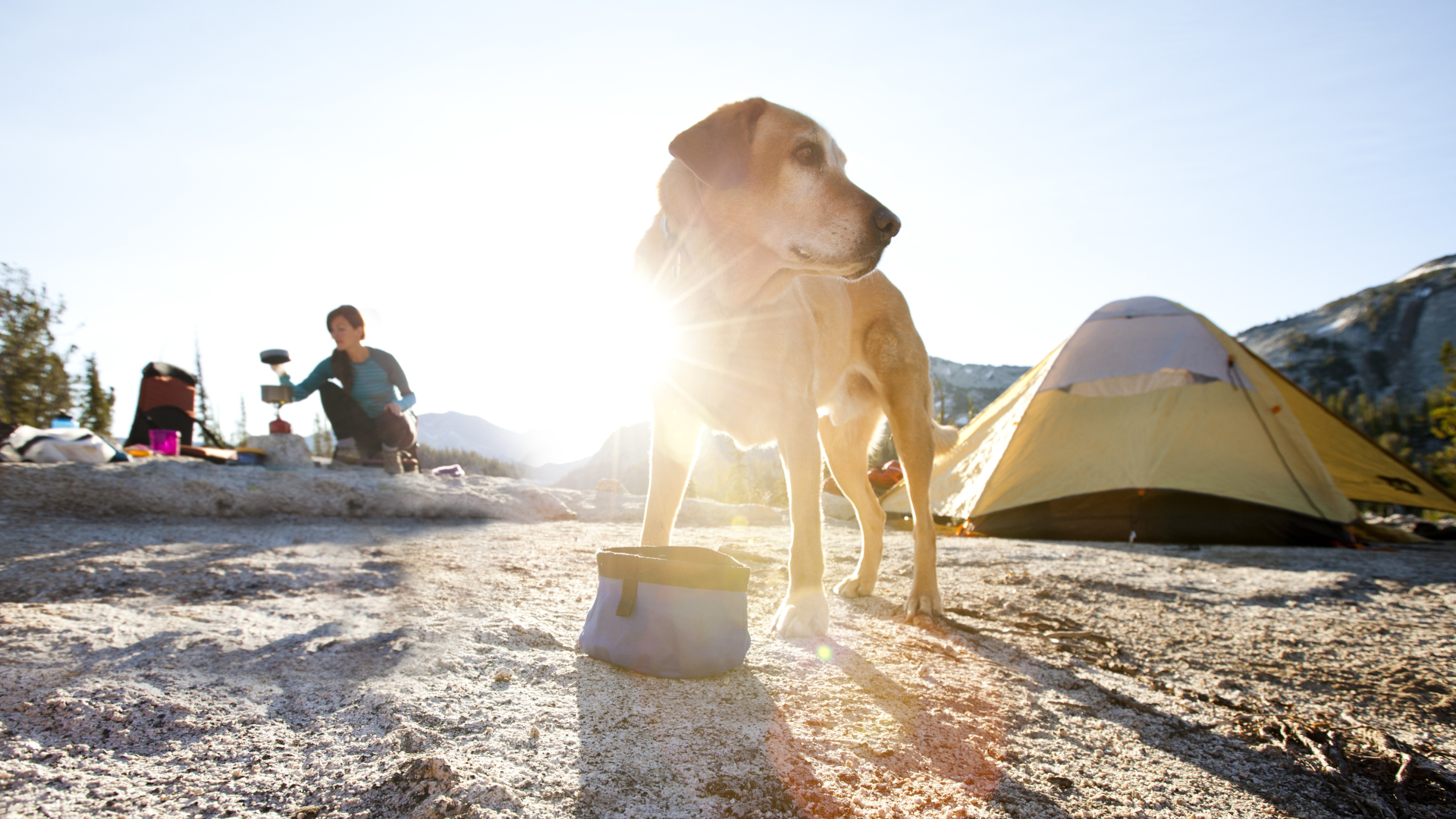 Un perro comiendo en un camping después de un largo día de mochilero