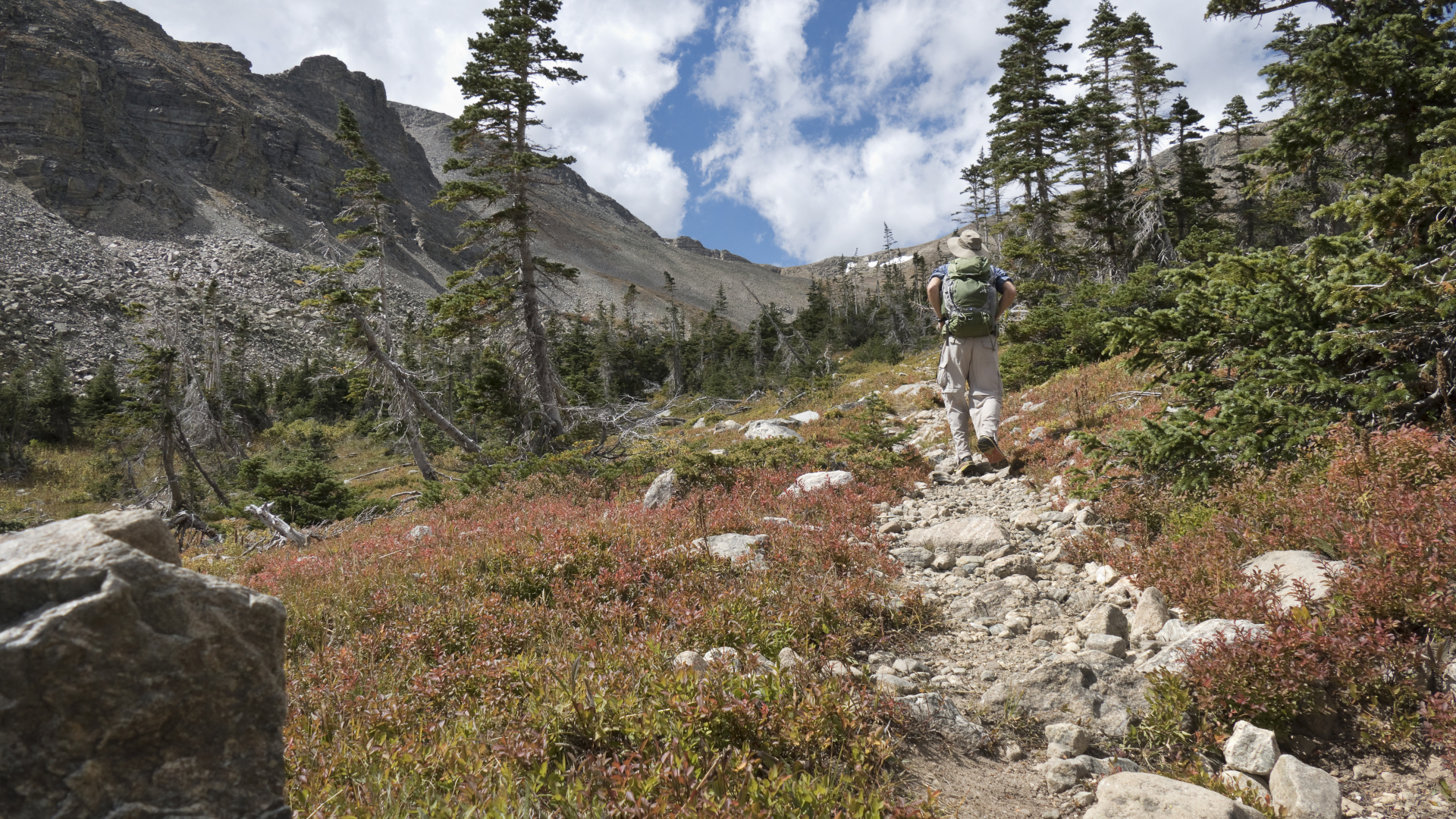 Backpacker hombre senderismo Indian Peaks Wilderness Buchanan Pass trail Colorado