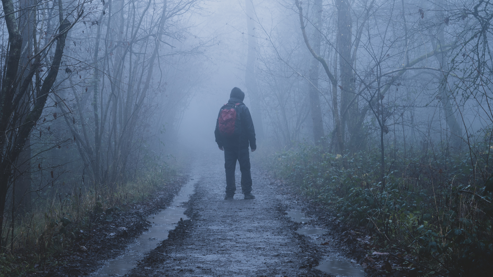 Un hombre que camina en la niebla por un sendero fangoso