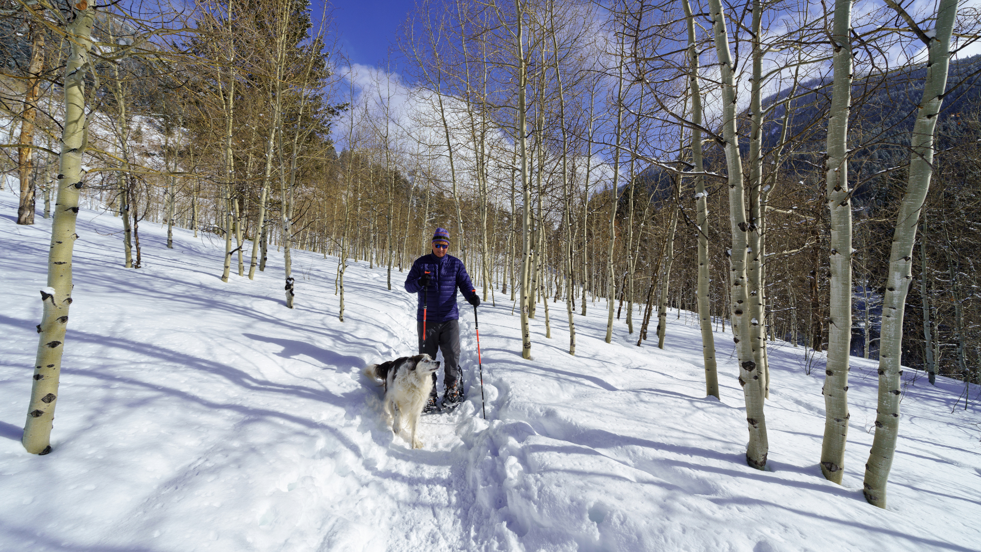 Un hombre con raquetas de nieve con su perro