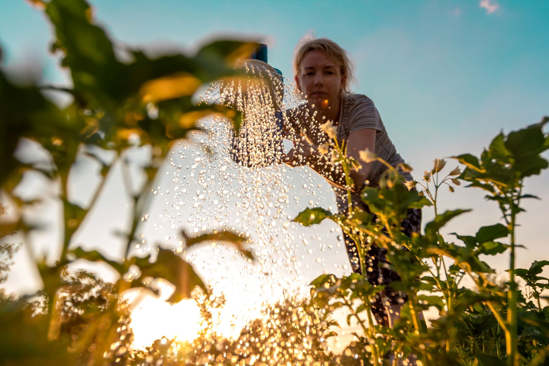 Una mujer haciendo jardinería bajo la luz del sol.