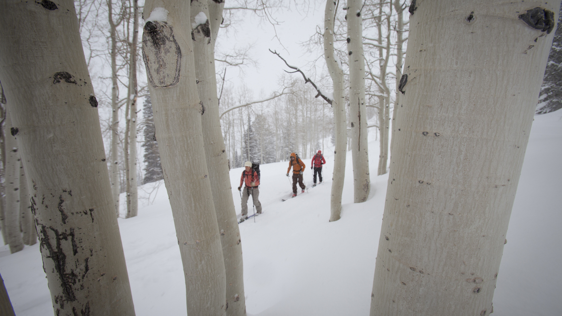 Tres personas con raquetas de nieve en Utah