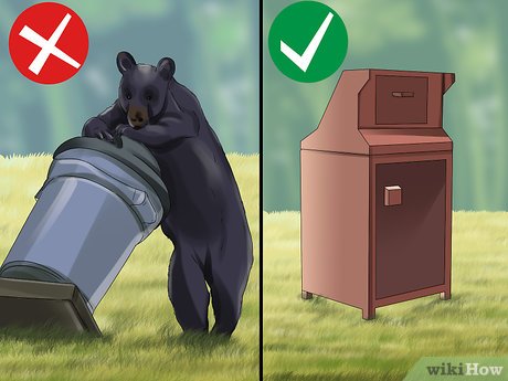 Cómo usar un recipiente para osos: mantén tu comida a salvo de osos y bichos en el campamento€
€