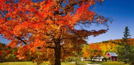 Las mejores excursiones de un día en Vermont para ver los colores del otoño€
€